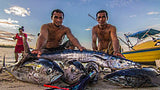 Game fishing Solomon Islands.