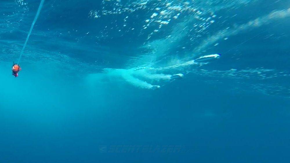 Trolling lure chain smoke underwater.