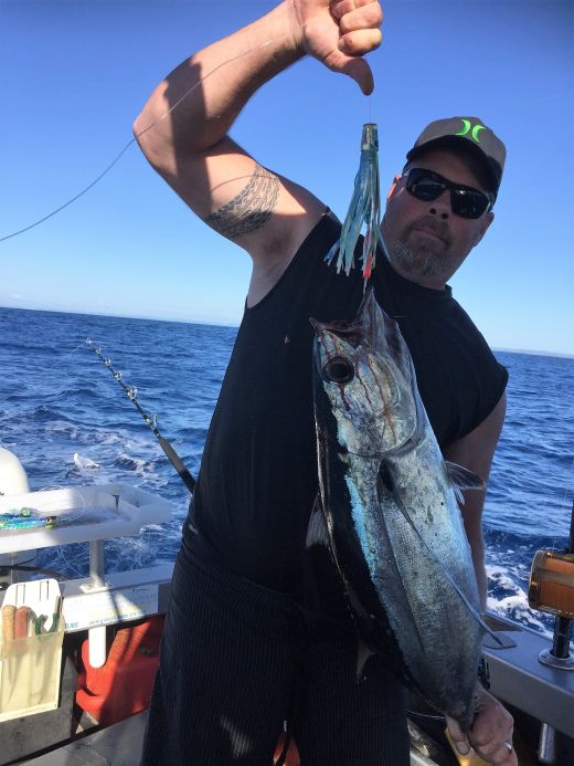 Andrew Cliff Skipjack Tuna.