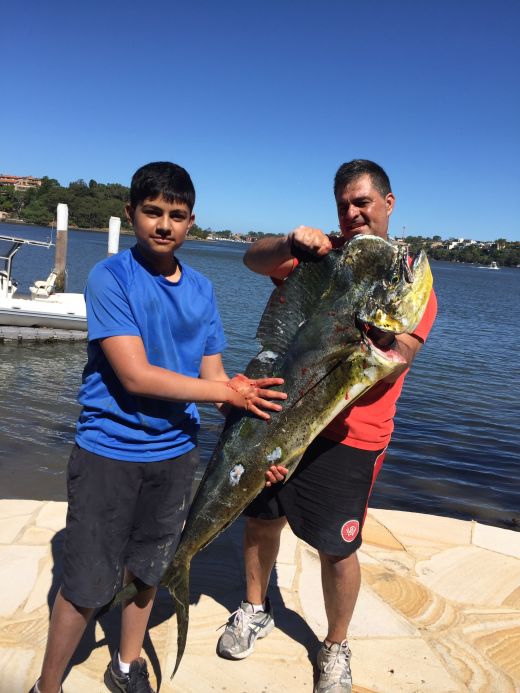 Manthos Papadopoulos hooks and lands large Dorado on Scent Blazer trolling lure.