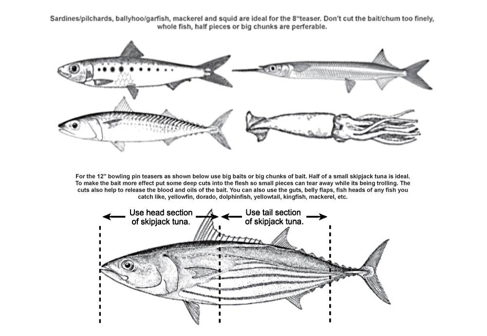 Types of baits you can use in a scent teaser.