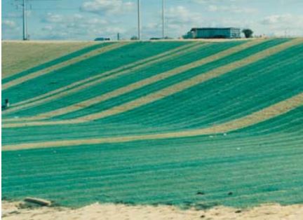 Green curlex erosion control blankets on hillside