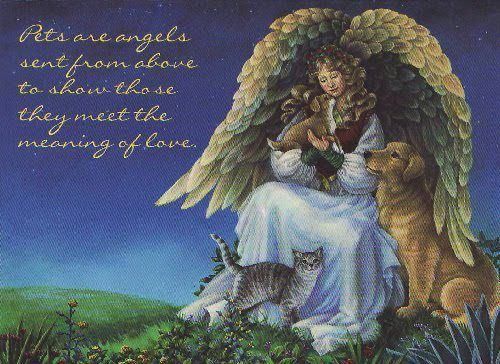 are dogs guardian angels