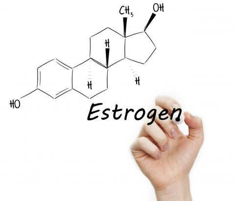 estrogen finasteride