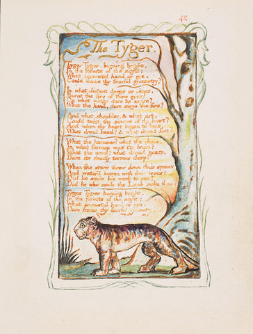 William Blake tyger tyger poem 