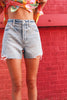 Pistola Connor Relaxed High Rise Vintage Shorts