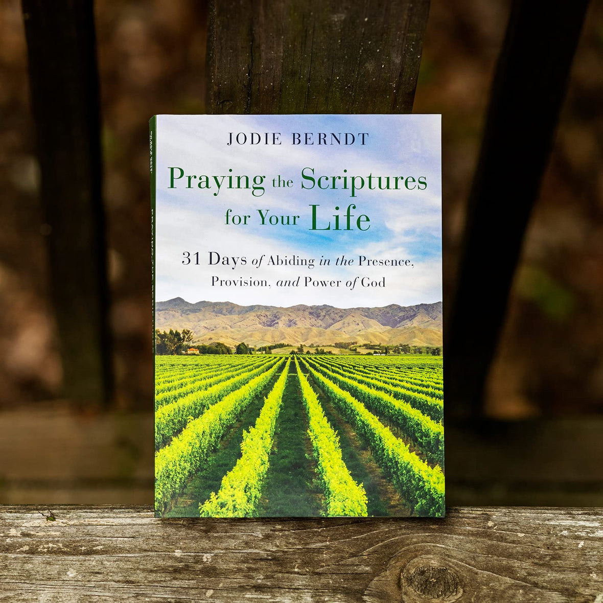Praying the Scriptures for Your Life: 31 Days of Abiding in the Presence,  Provision, and Power of God