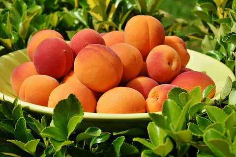 Health Benefits Of Apricots