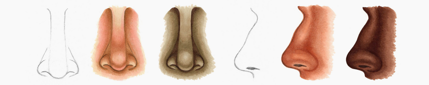 Browns; how to color a NOSE