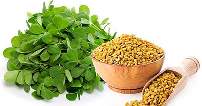 Fenugreek shanbalileh
