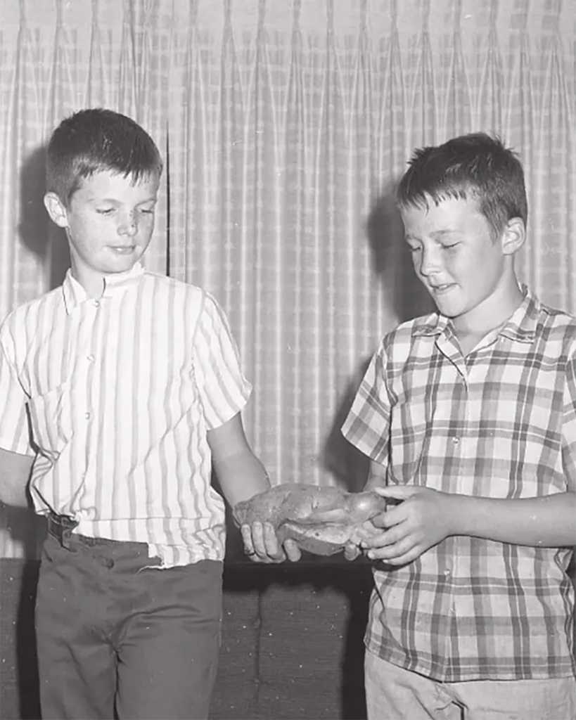 Robert and his brother, David