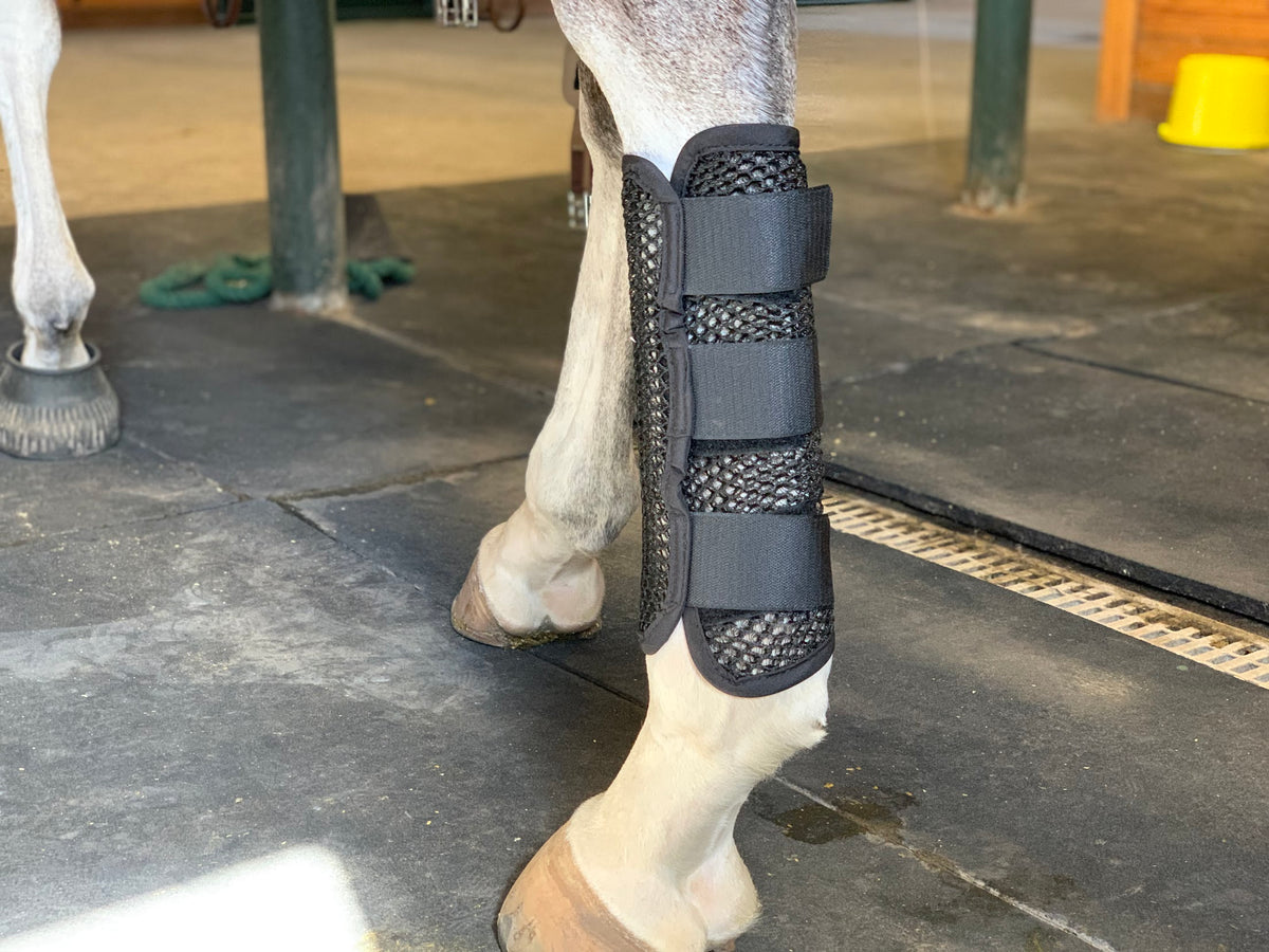 air ride boots for horses