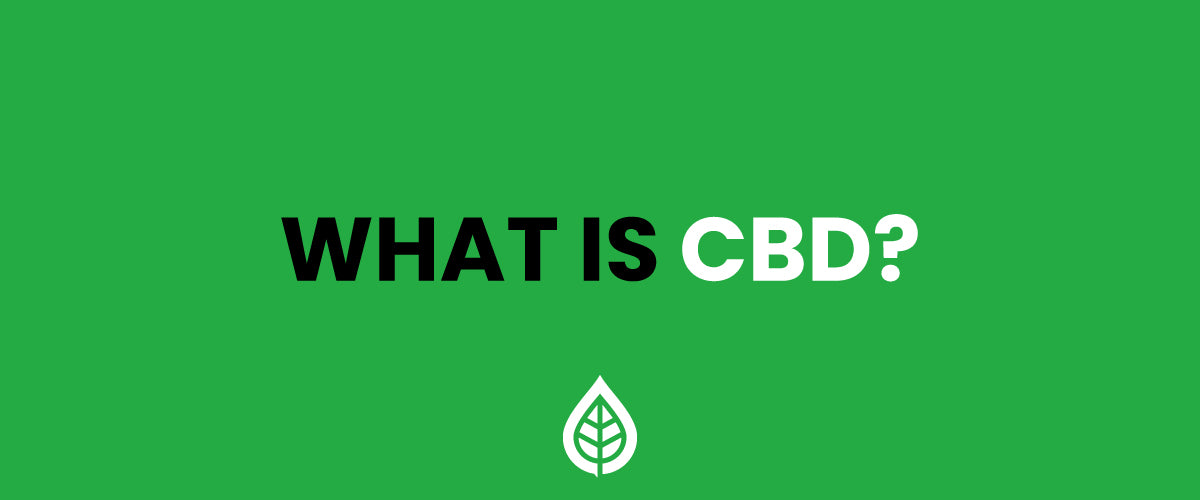 What is CBD Oil?