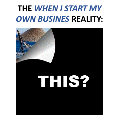 The Mindset and Life Tools For Business Success LIFE COACHING PROGRAM -- Holiday Blend Edition