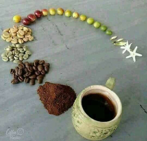 Fatemi Coffee Mocha Yemen Coffee
