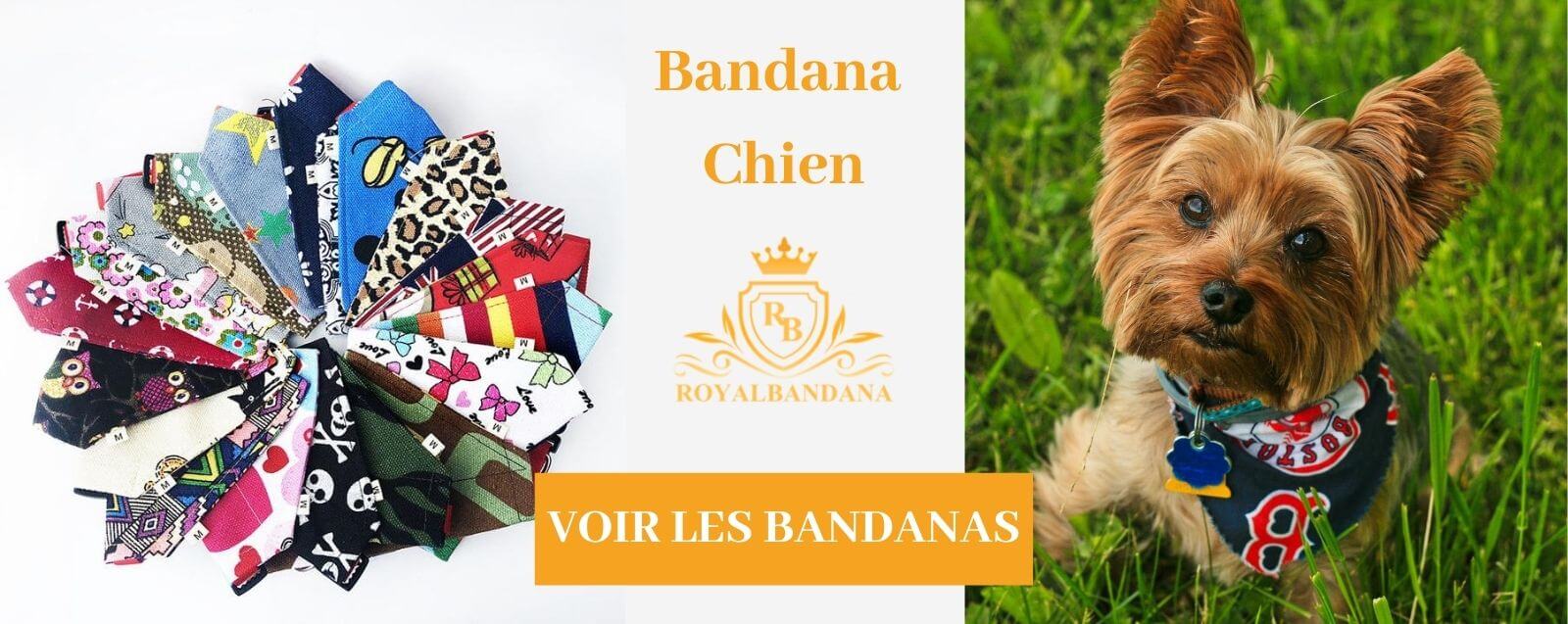 acheter bandana pour chien royalbandana