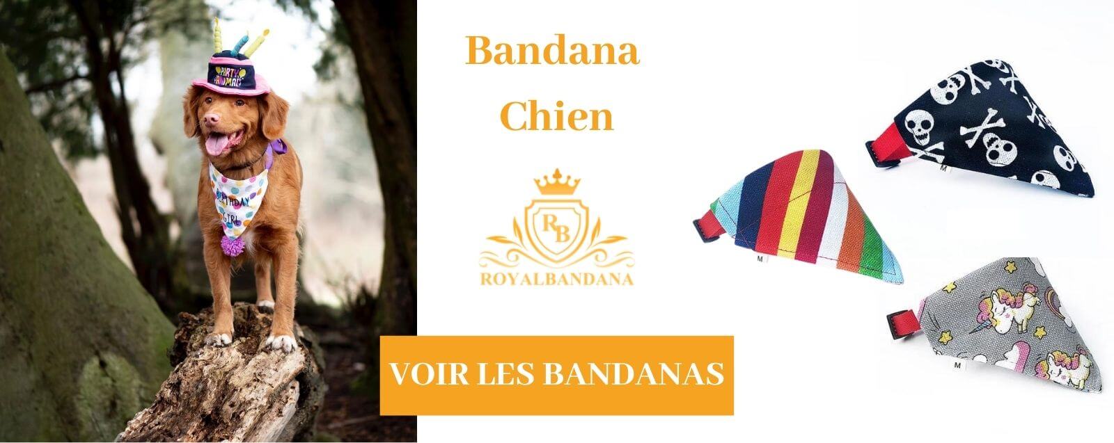 voir Collection bandana chien royalbandana