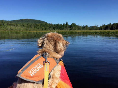 Shakedown kayaking in NH