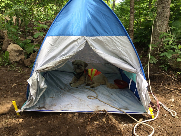 Shakedown the Rockhound with Beryllina mining for Herkimer Diamonds