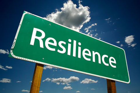 Emergency Preparedness Resilience 