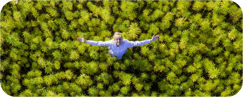 Image of a hemp farmer in her field shot from overhead