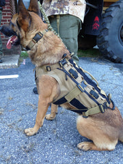 Remington K9 vest