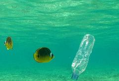 Plastic in the ocean