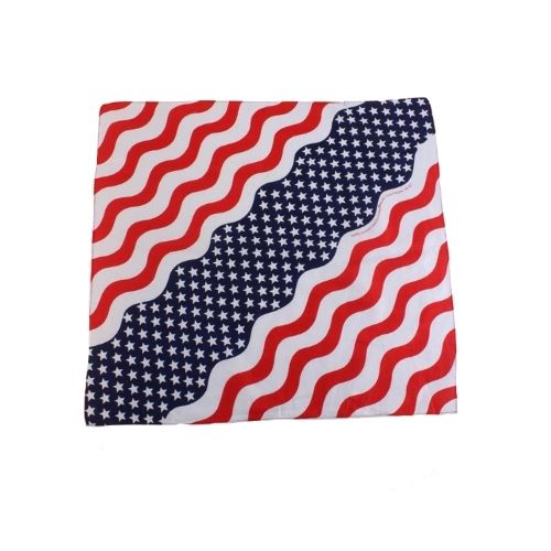 Vintage America Bandana - ramanujanitsez