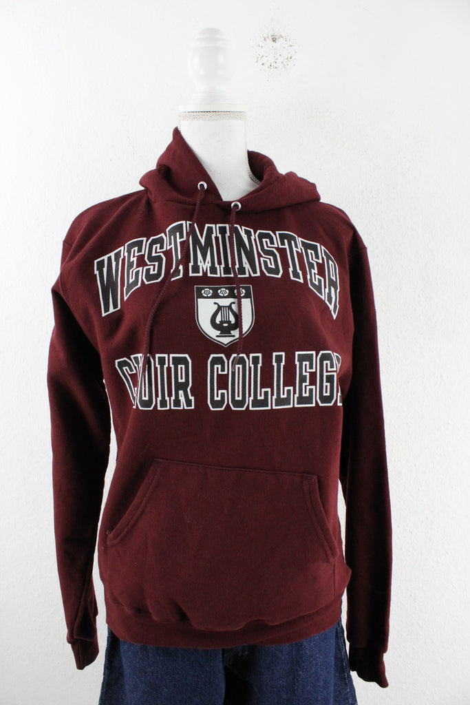 Vintage Westminster Hoodie (S) - ramanujanitsez