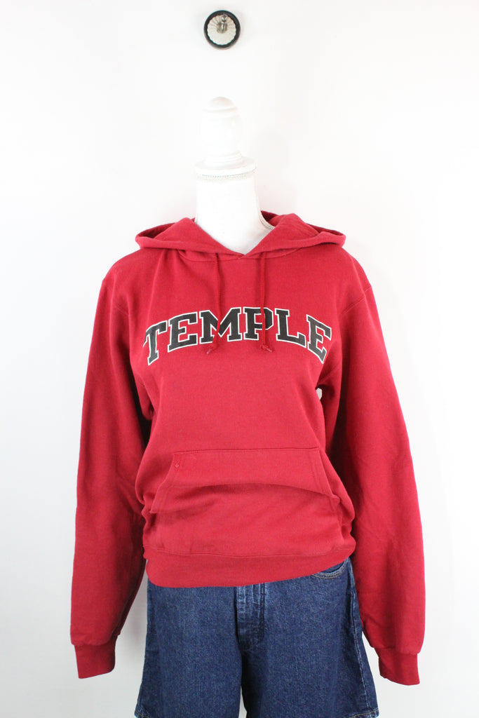 Vintage Temple Hoodie (XS) - ramanujanitsez