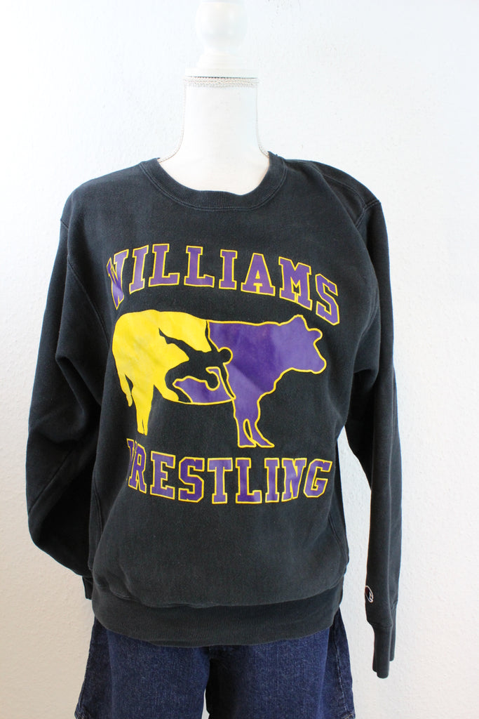Vintage Williams Westling Sweatshirt (S) - ramanujanitsez