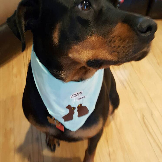 easter dog bandana