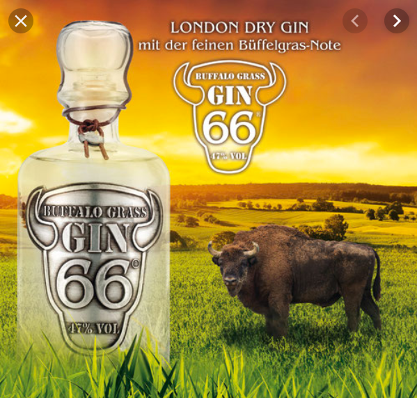 Gins The Very Interesting Drinks Company LTD