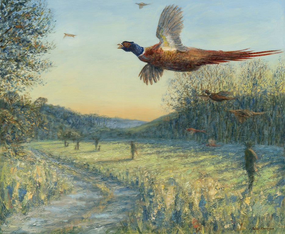 Pheasant Shoot The Wallington Gallery