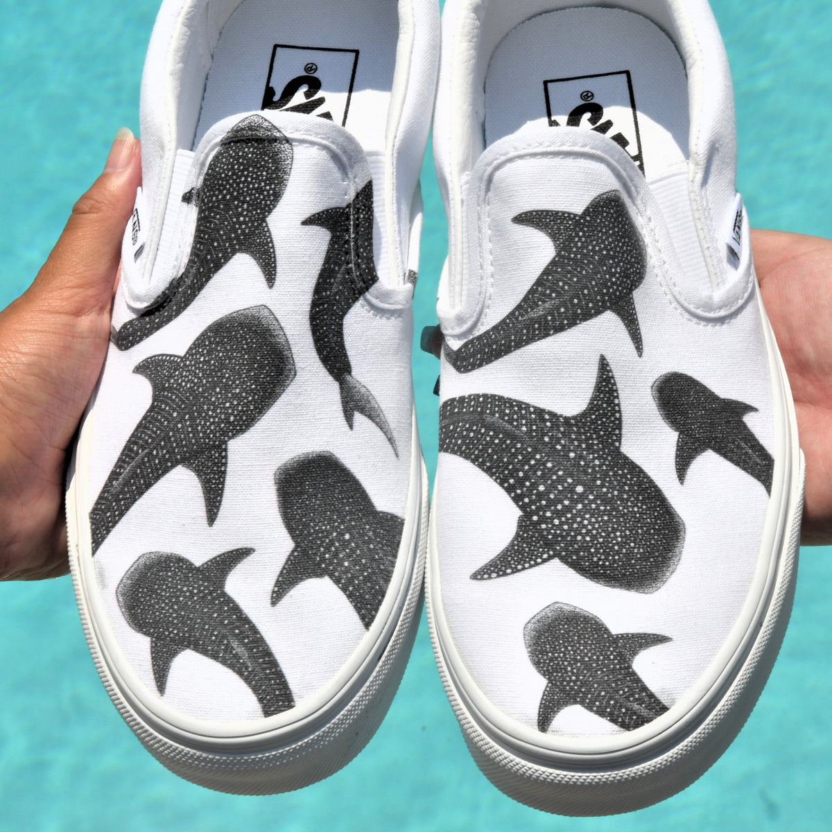 vans with sharks