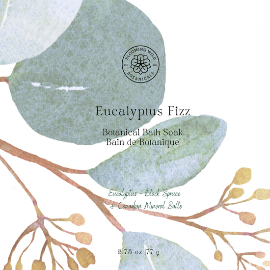 Eucalyptus Fizz Botanical Bath Soak - Sachet