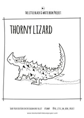 lizard colouring sheet