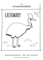 cassowary colouring sheet