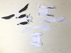 bird templates cut out