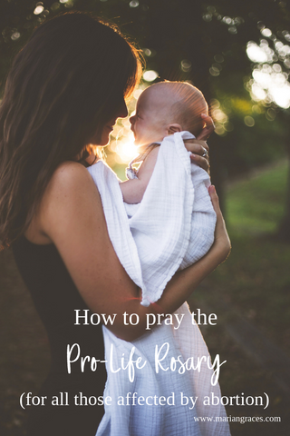 How to pray the prolife rosary