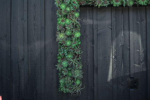 Close up Custom Built Vertical Wall Succulent Planter made in an 'H' for the Hill Family Winery by Lee Display
