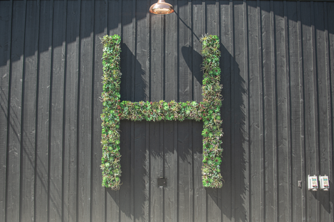Custom Built Vertical Wall Succulent Planter made in an 'H' for the Hill Family Winery by Lee Display