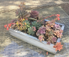 Lee Display's decorative planter box and gardening designs