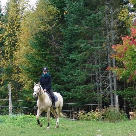 Horse at Saddleview Farm, Rangeley, Maine