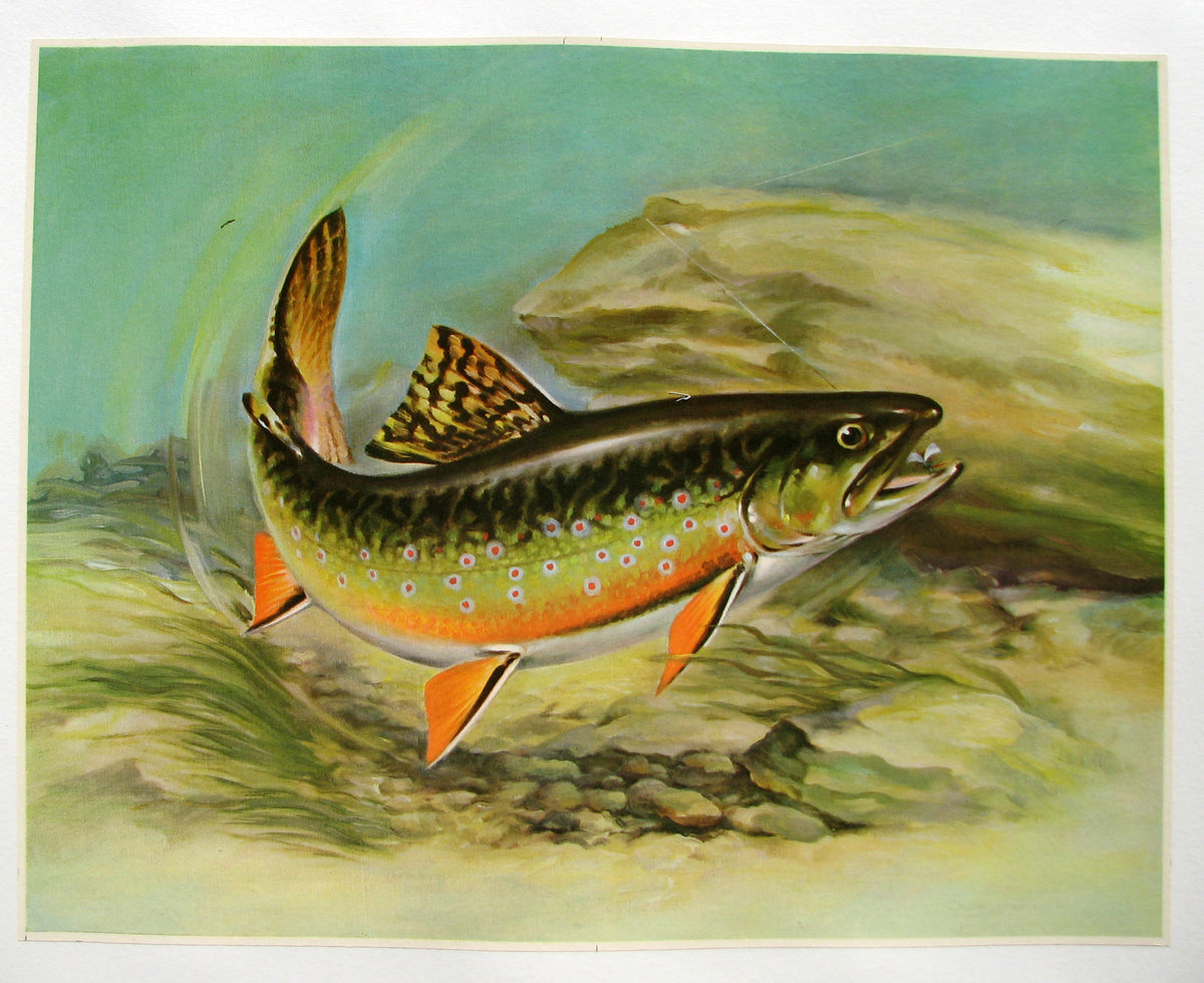 1940s Angry Trout And Lure Antique Fishing Vintage Fish Poster Vintage