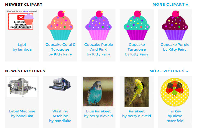 cupcakes and parakeets