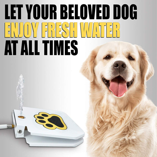 Dog automatic water fountain dispenser