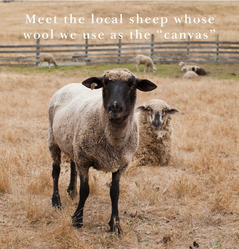 Meet the local sheep whose wool we use as the canvas.