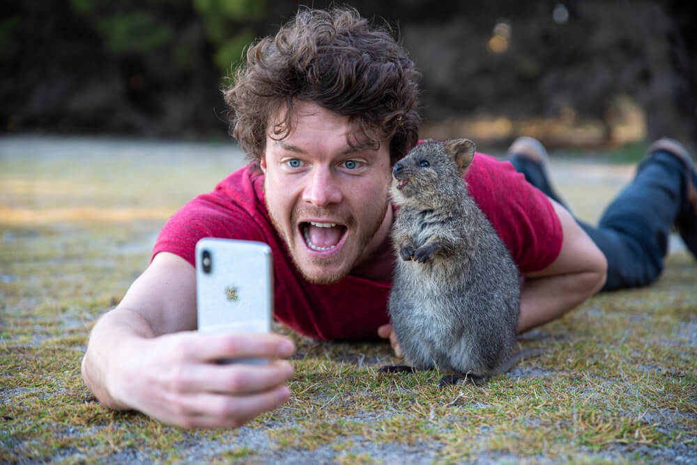 quokka selfie - allan dixon invited quokka selfies