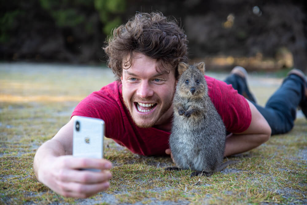 the best quokka selfie - allan dixon invited quokka selfies